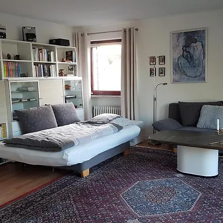 Apartment Gomo *